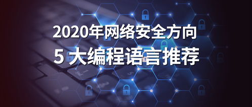 2020年網(wǎng)絡(luò)安全領(lǐng)域最值得學(xué)習(xí)的5大編程語言推薦